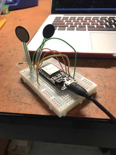 A microcontroller with two force sensors, to build the simple circuit